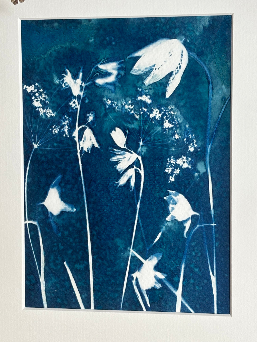 Wild Meadow Original Print
