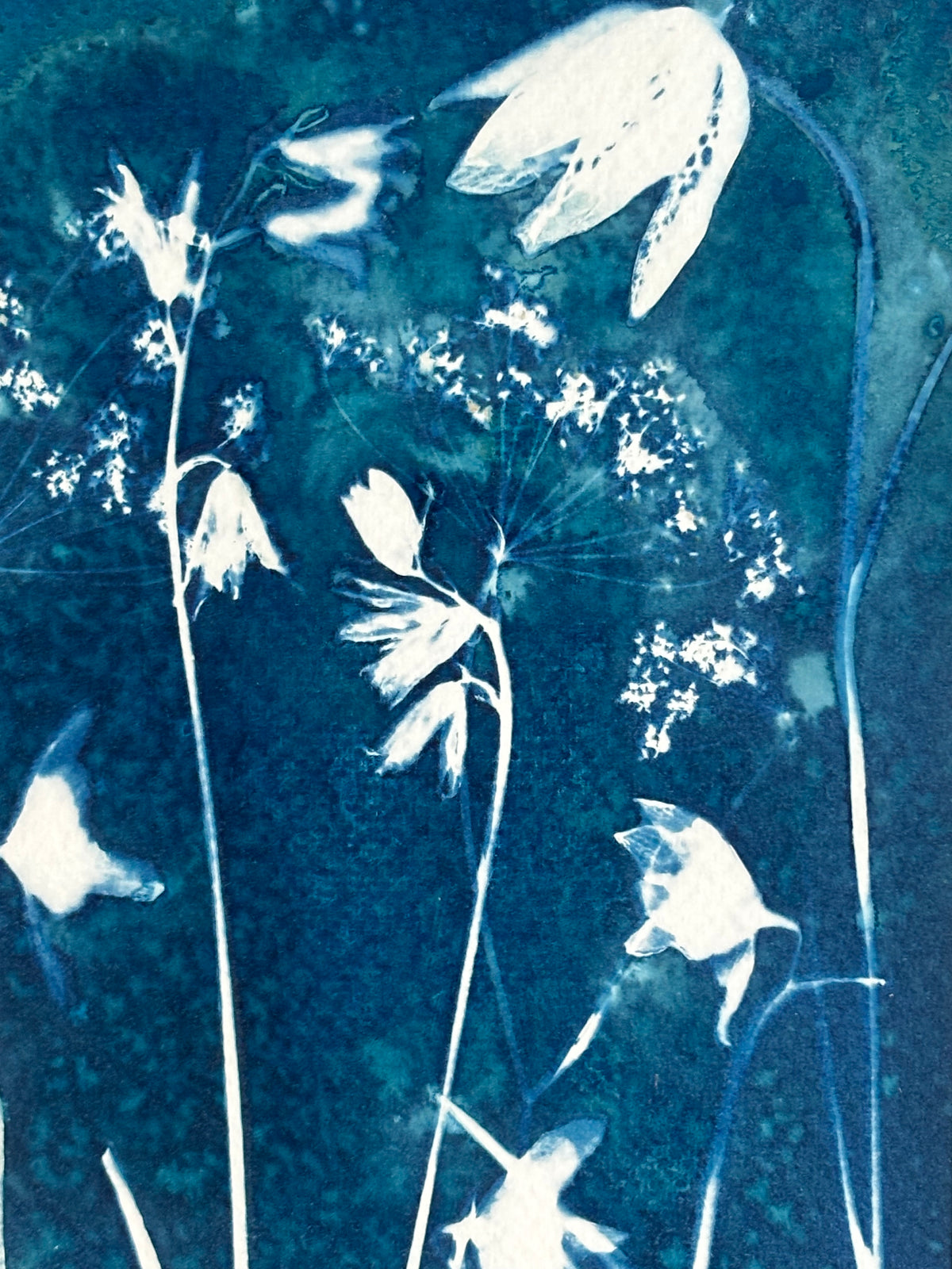 Wild Meadow Original Print