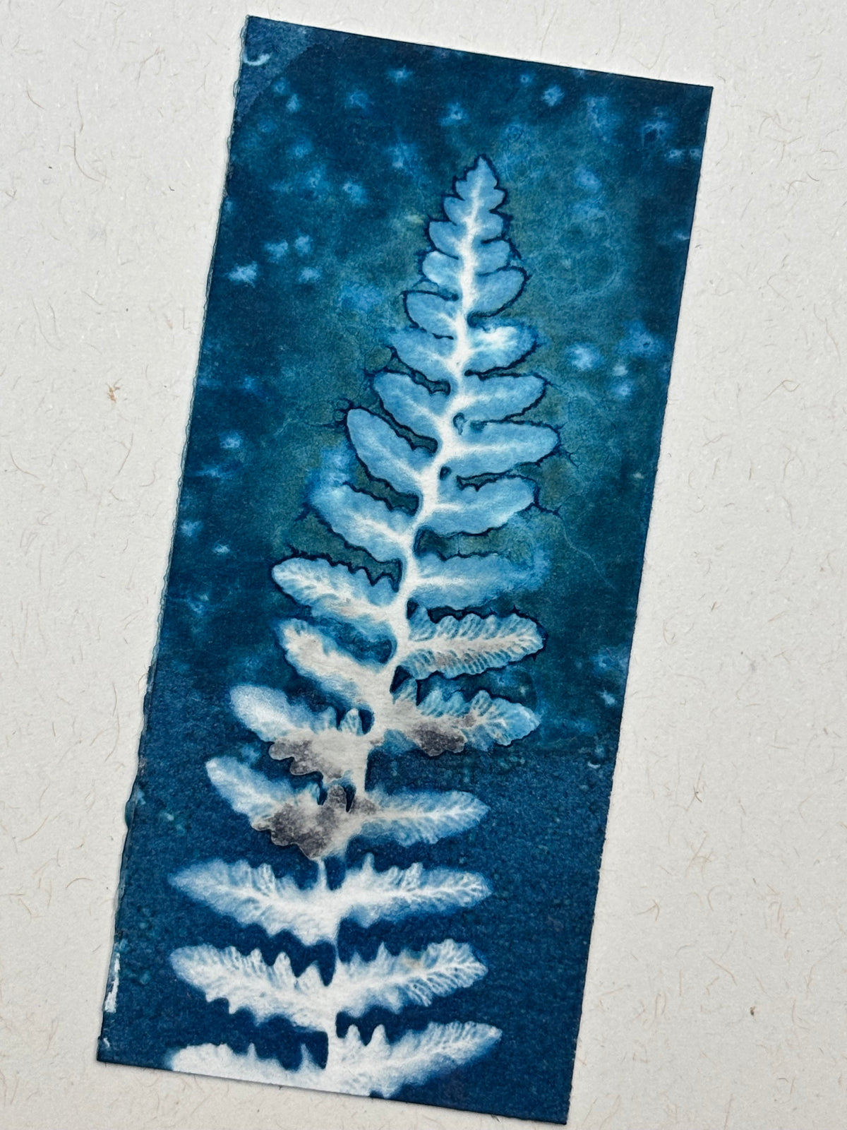 Fern Blank Greeting Card