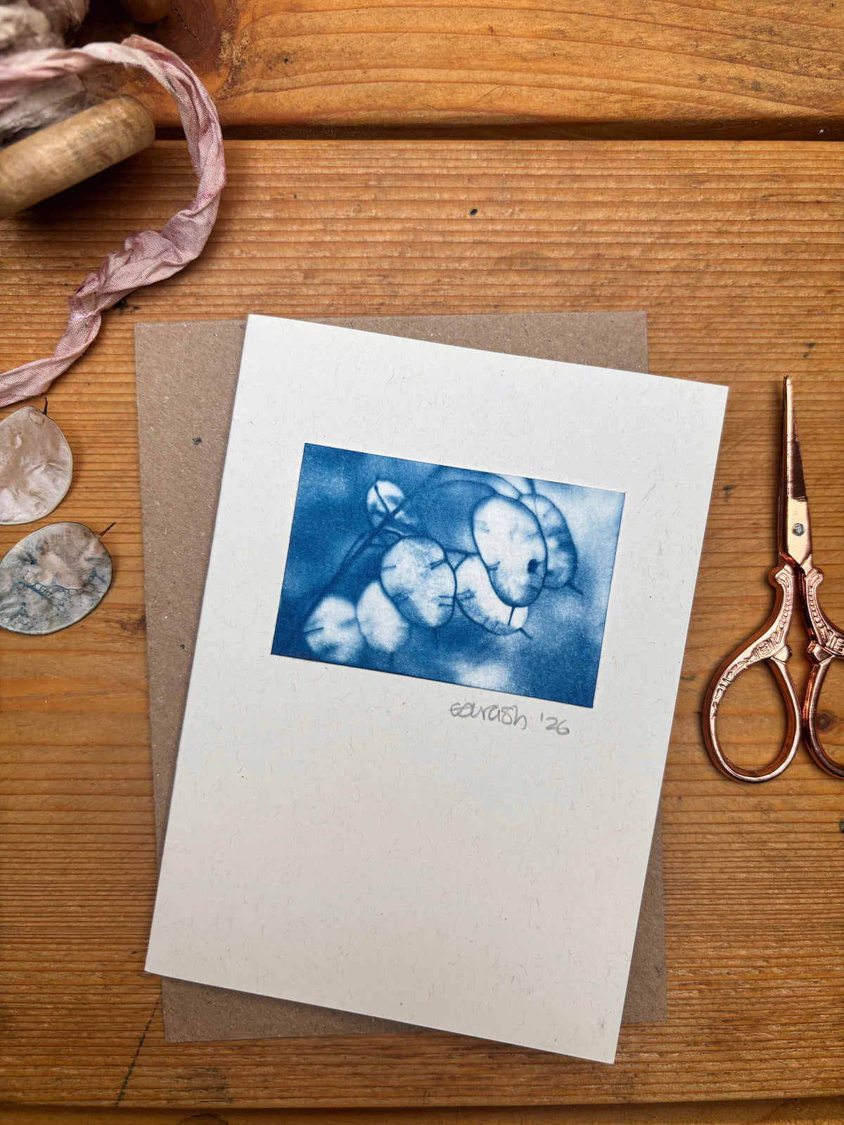 Honesty Seed Pods Blank Greeting Card