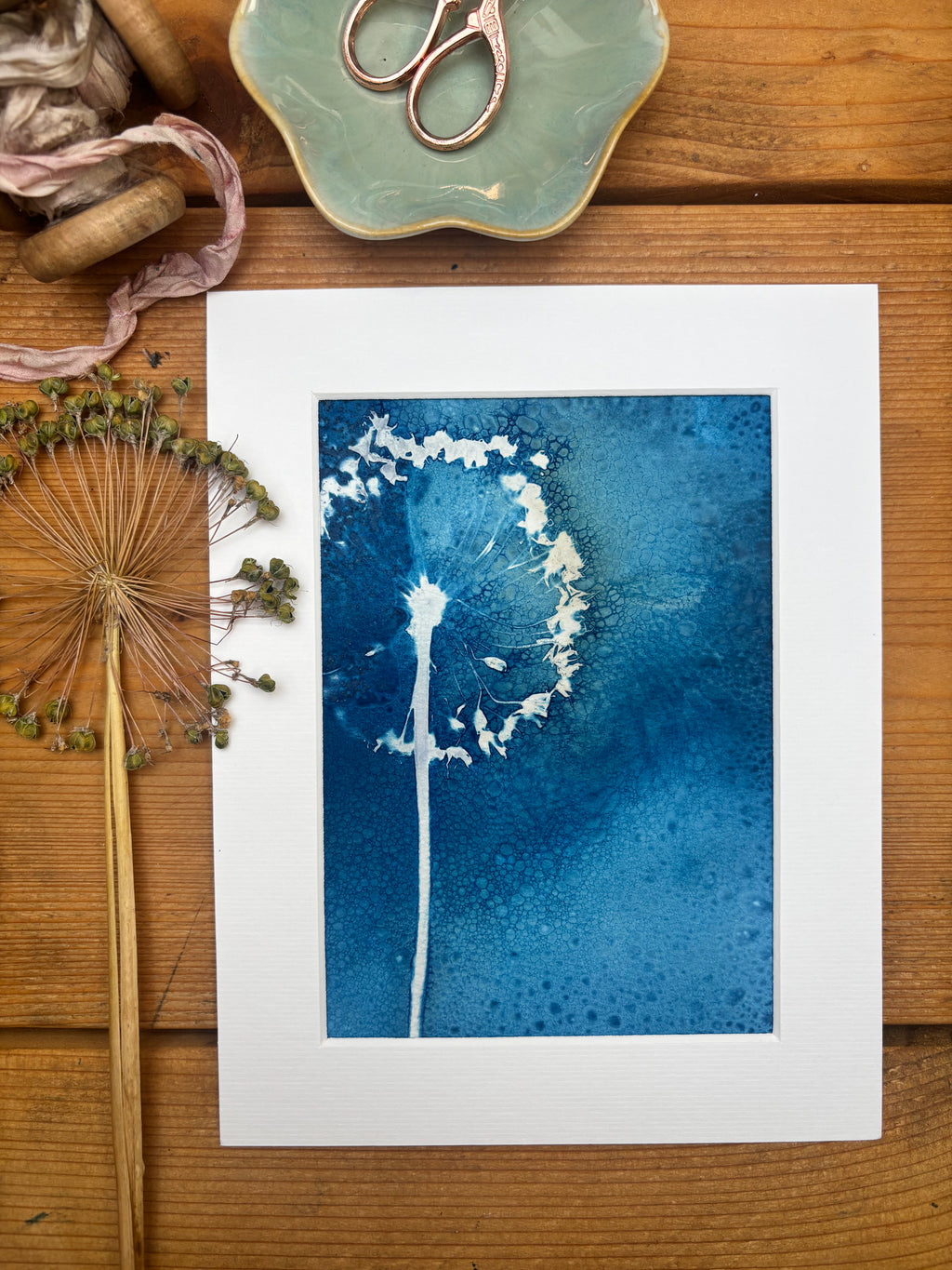 Allium Wet Cyanotype Original Print