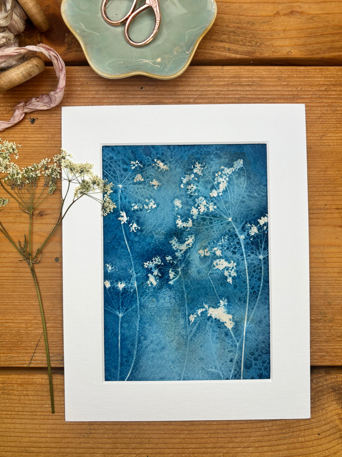 Cow Parsley Wet Cyanotype Original Print