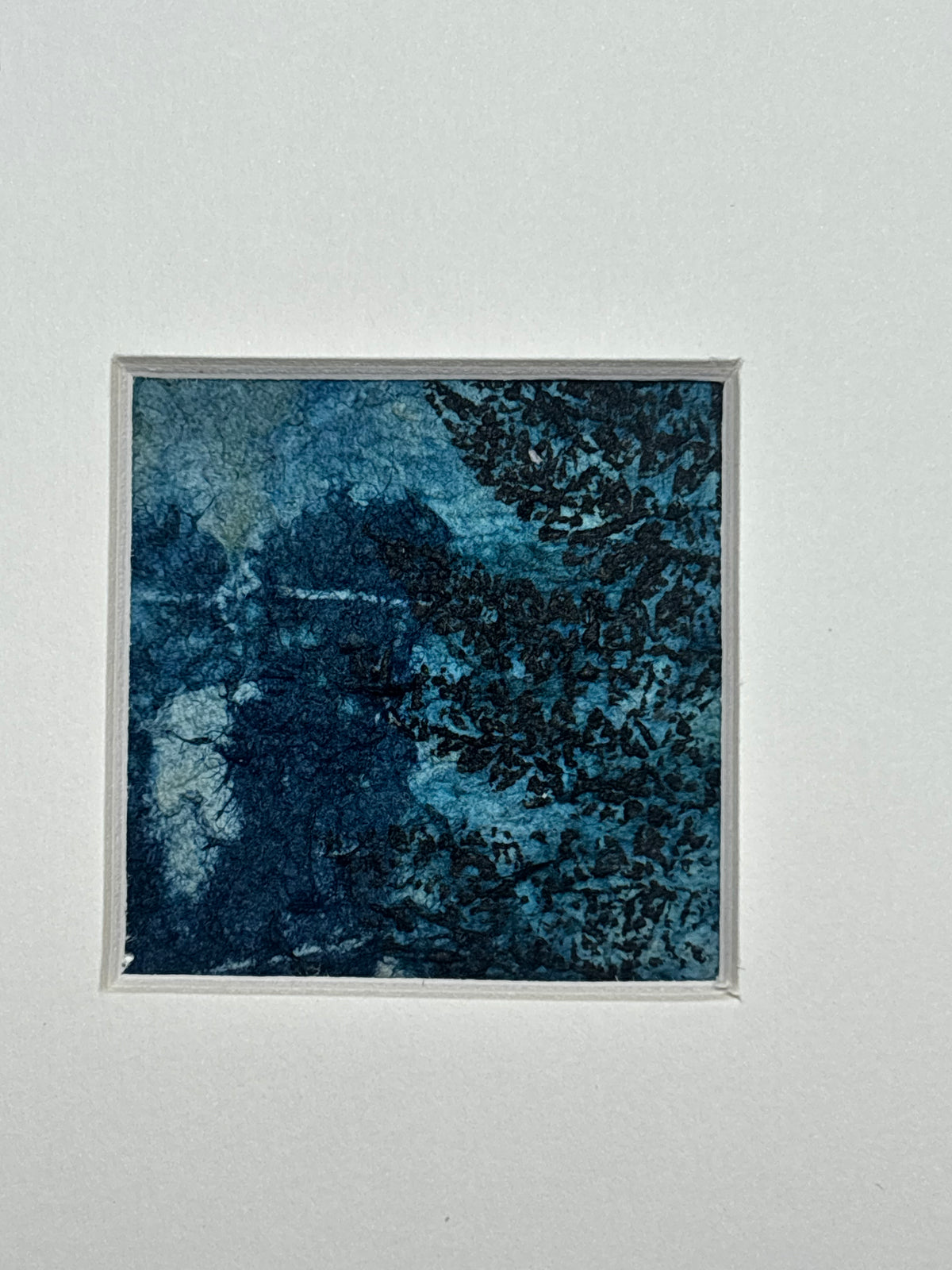 Woodland Echo - Mixed Media Cyanotype Mini Print