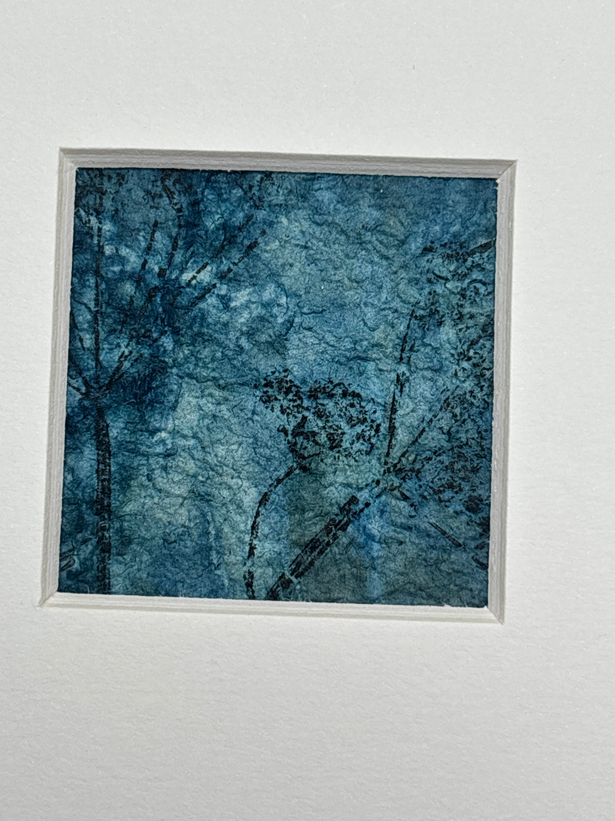 Meadow Imprint - Mixed Media Cyanotype Mini Print