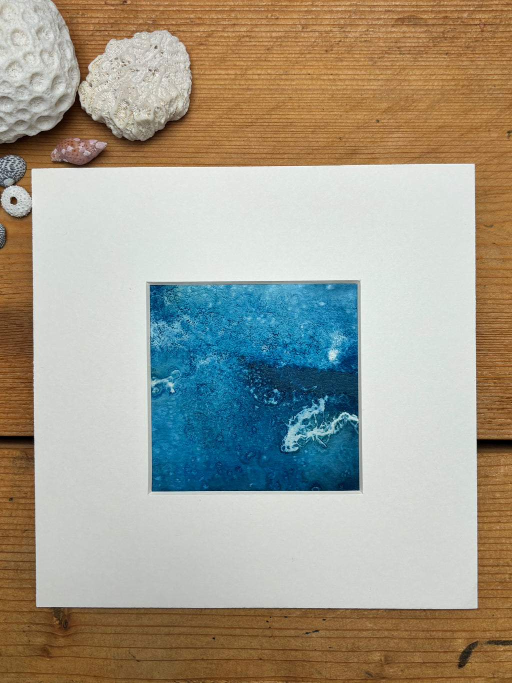 Tidal Remains - Original Cyanotype Print