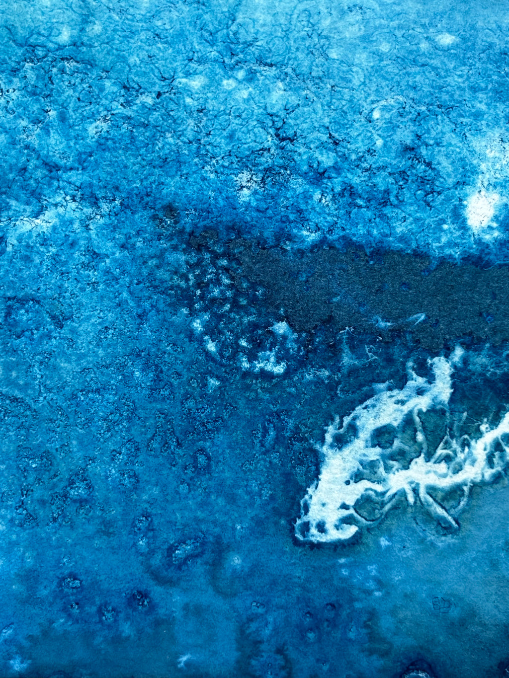 Tidal Remains - Original Cyanotype Print