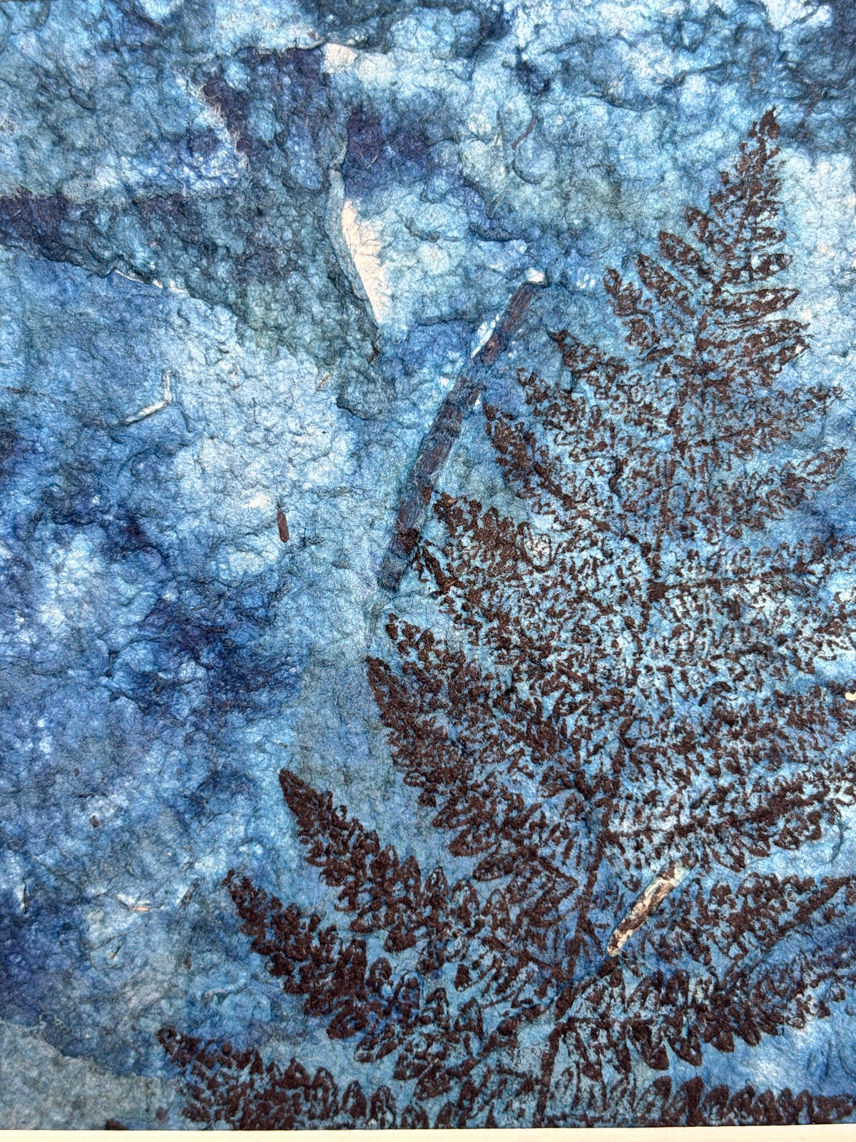 Woodland Imprint - Mixed Media Cyanotype Mini Print