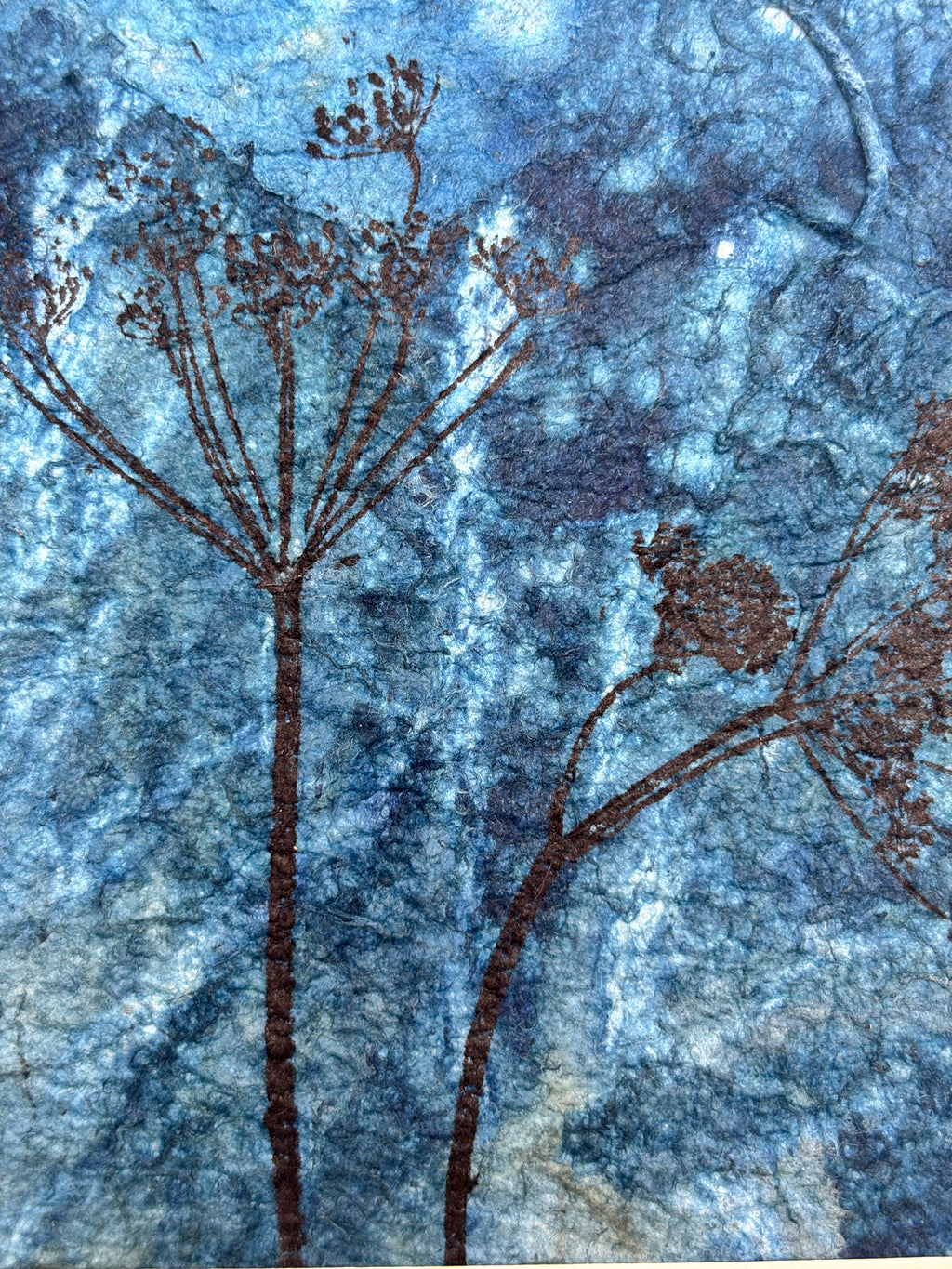 Meadow Impressions - Mixed Media Cyanotype Print