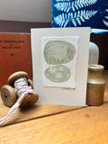 Watercolour Blank Greeting Card