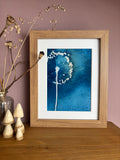 Allium Wet Cyanotype Original Print