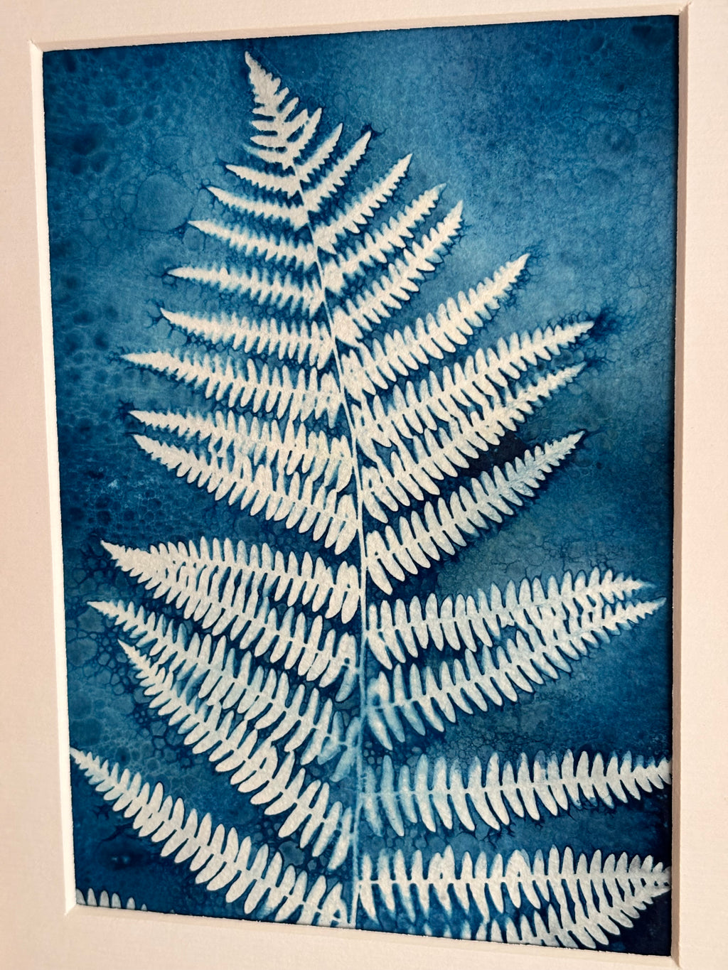 Fern Wet Cyanotype Original Print
