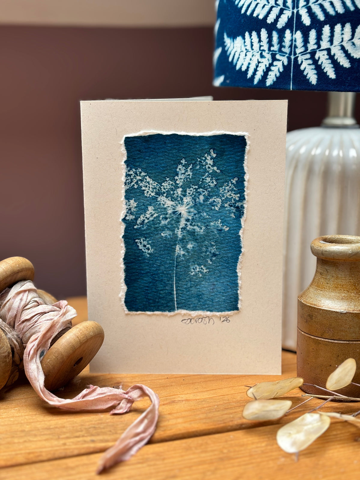 Queen Anne's Lace Blank Greeting Card