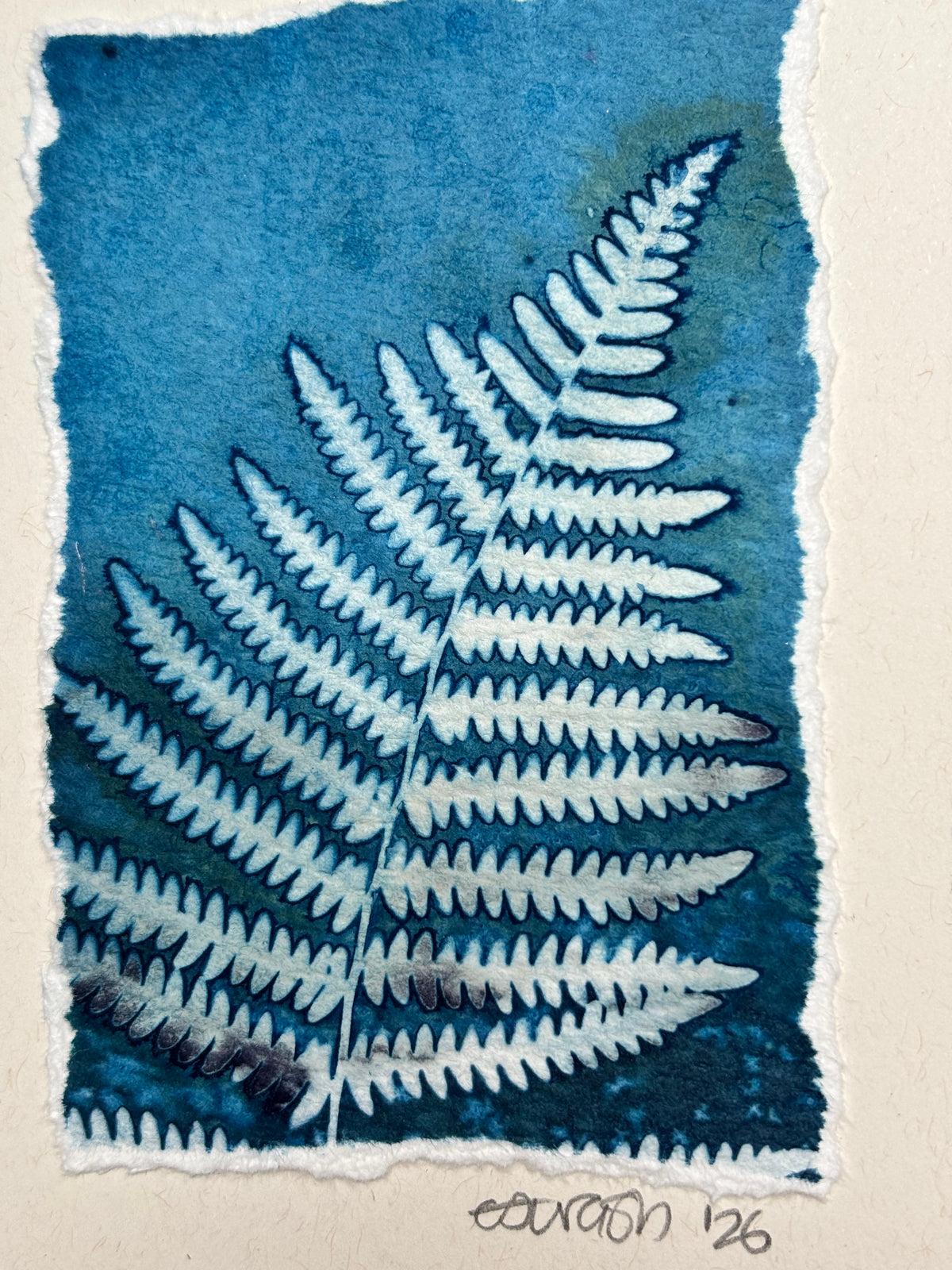 Fern Blank Greeting Card