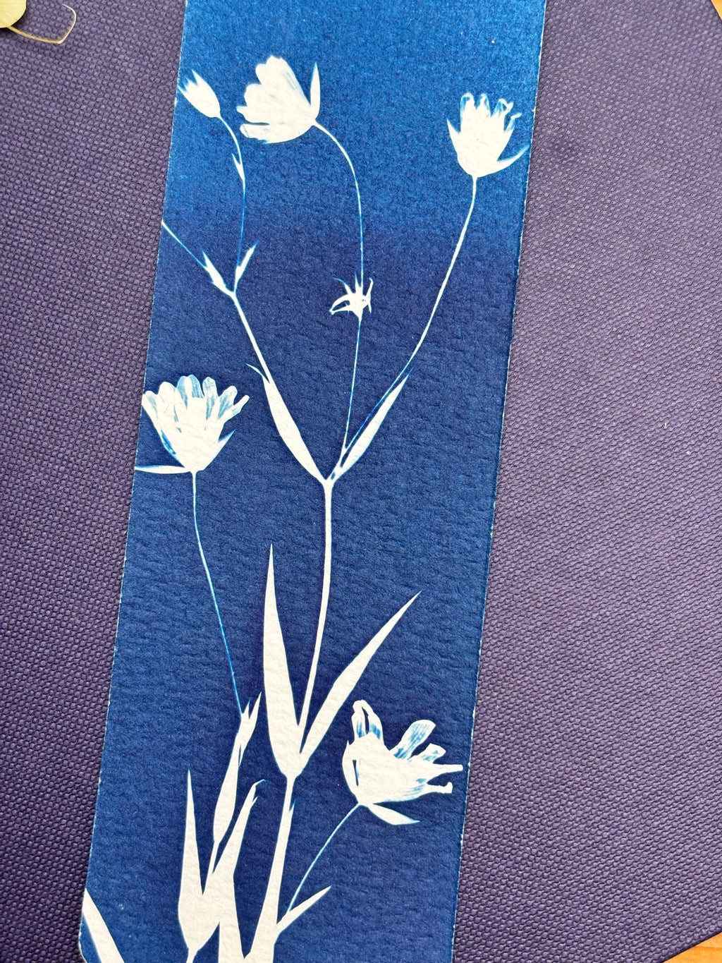 Greater Stitchwort Bookmark