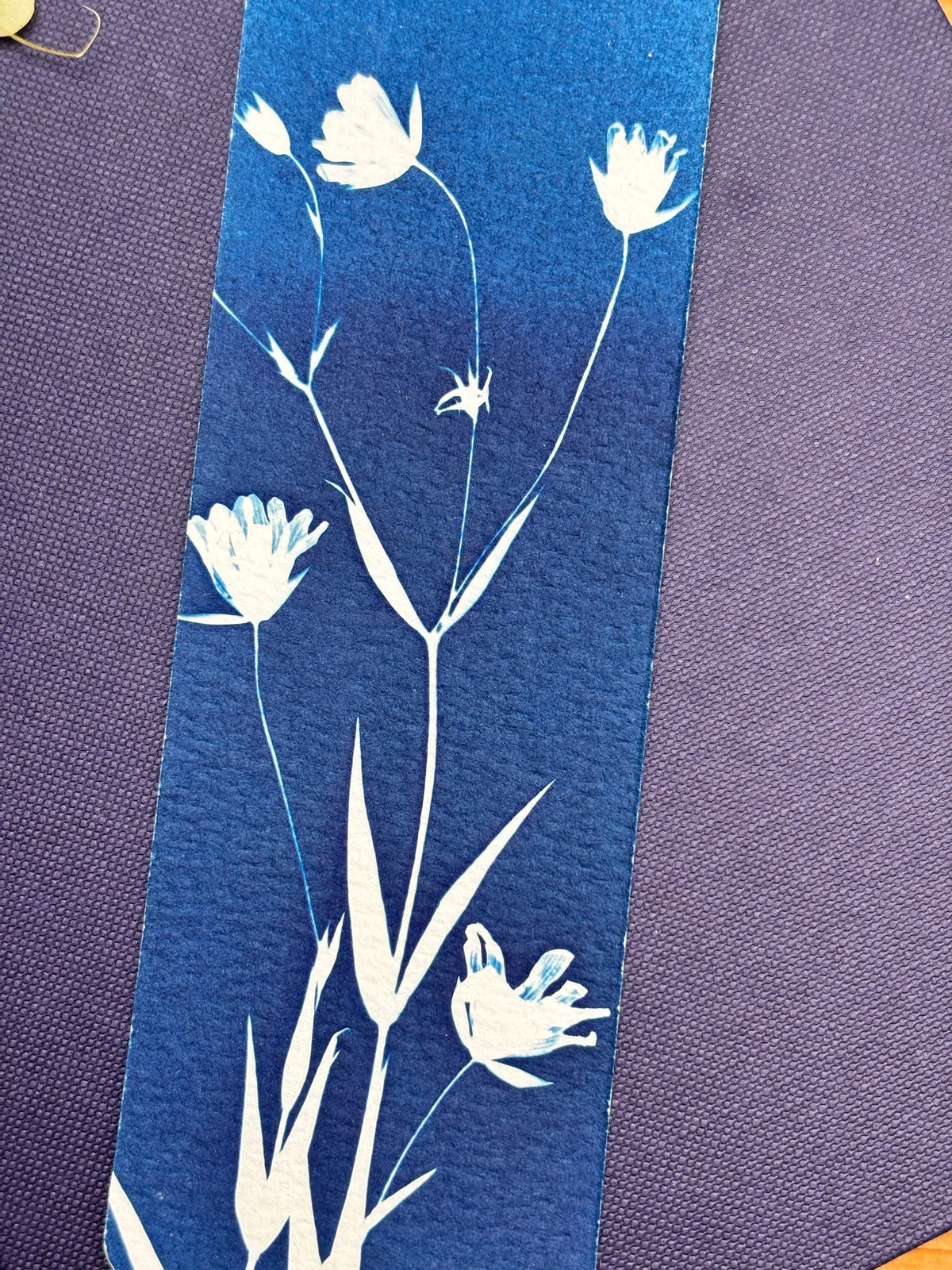 Greater Stitchwort Bookmark
