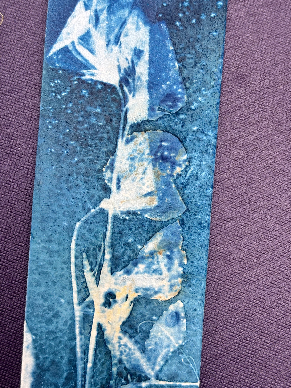 Sweet Pea Bookmark